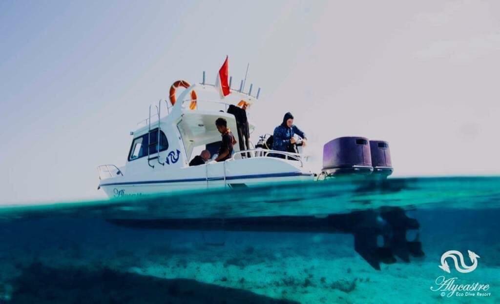 Eco dive resort Alycastre Maumere Exterior foto